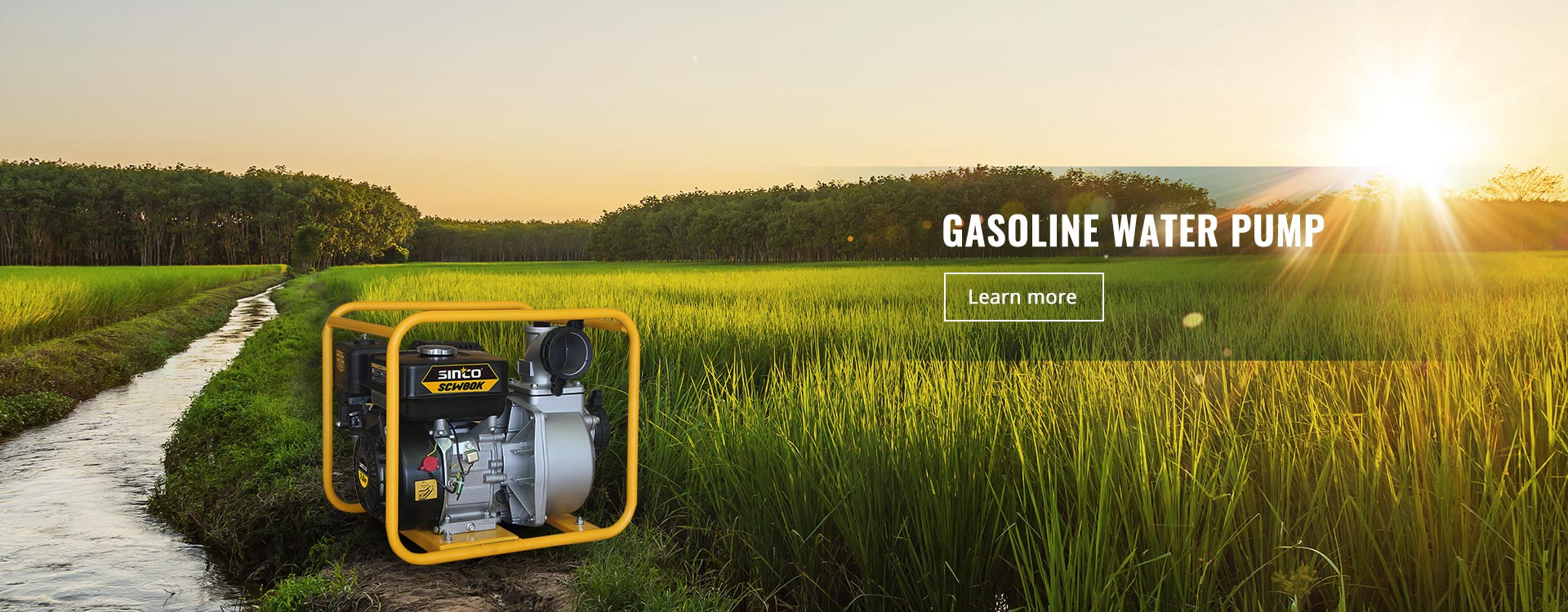 gasoline water pump