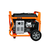 4kw Small Petrol Engine Portable Electric Generator Price Factory for Home Use